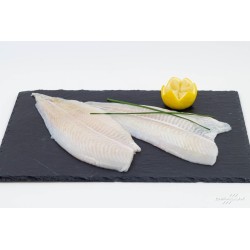 FILETS DE PLIE